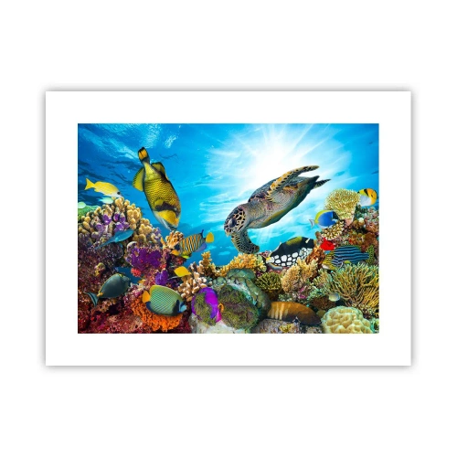 Poster - Koraalpromenade - 40x30 cm