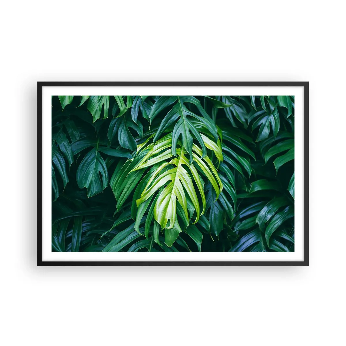 Poster in een zwarte lijst - Dompel jezelf onder in de frisheid - 91x61 cm