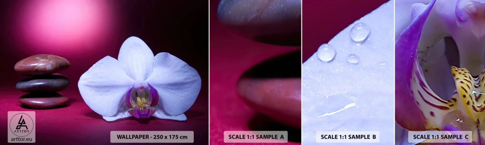 Fotobehang Staaltje Standard Eco - Een studie van versheid in paars - Bloemen, Spa, Stenen - 100x30 cm