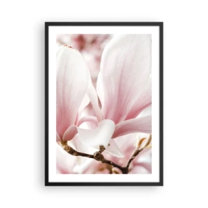 Poster in een zwarte lijst - Delicate roze magnoliablaadjes op een wazige achtergrond - 50x70cm - Een overvloed aan tederheid - Moderne wanddecoratie voor woonkamer en slaapkamer ARTTOR