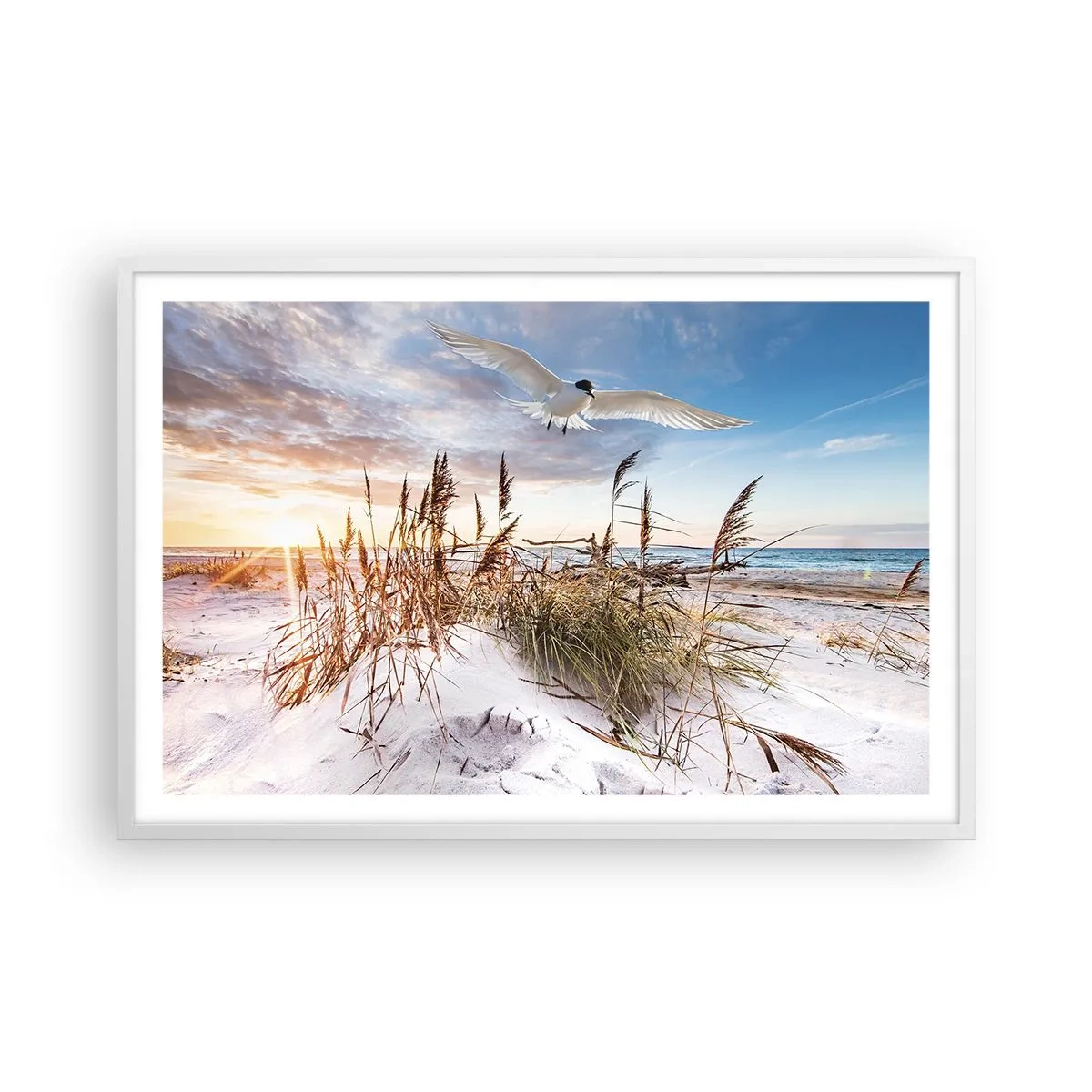 Poster in een witte lijst - Wind uit zee - 91x61 cm