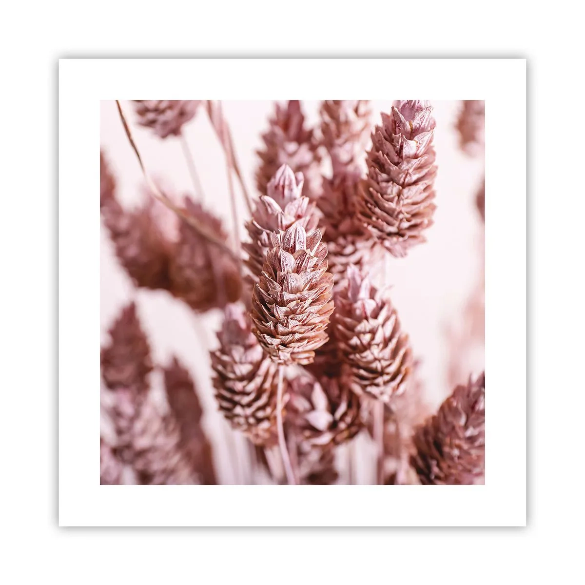 Poster - Schijnbaar onopvallend - 40x40 cm