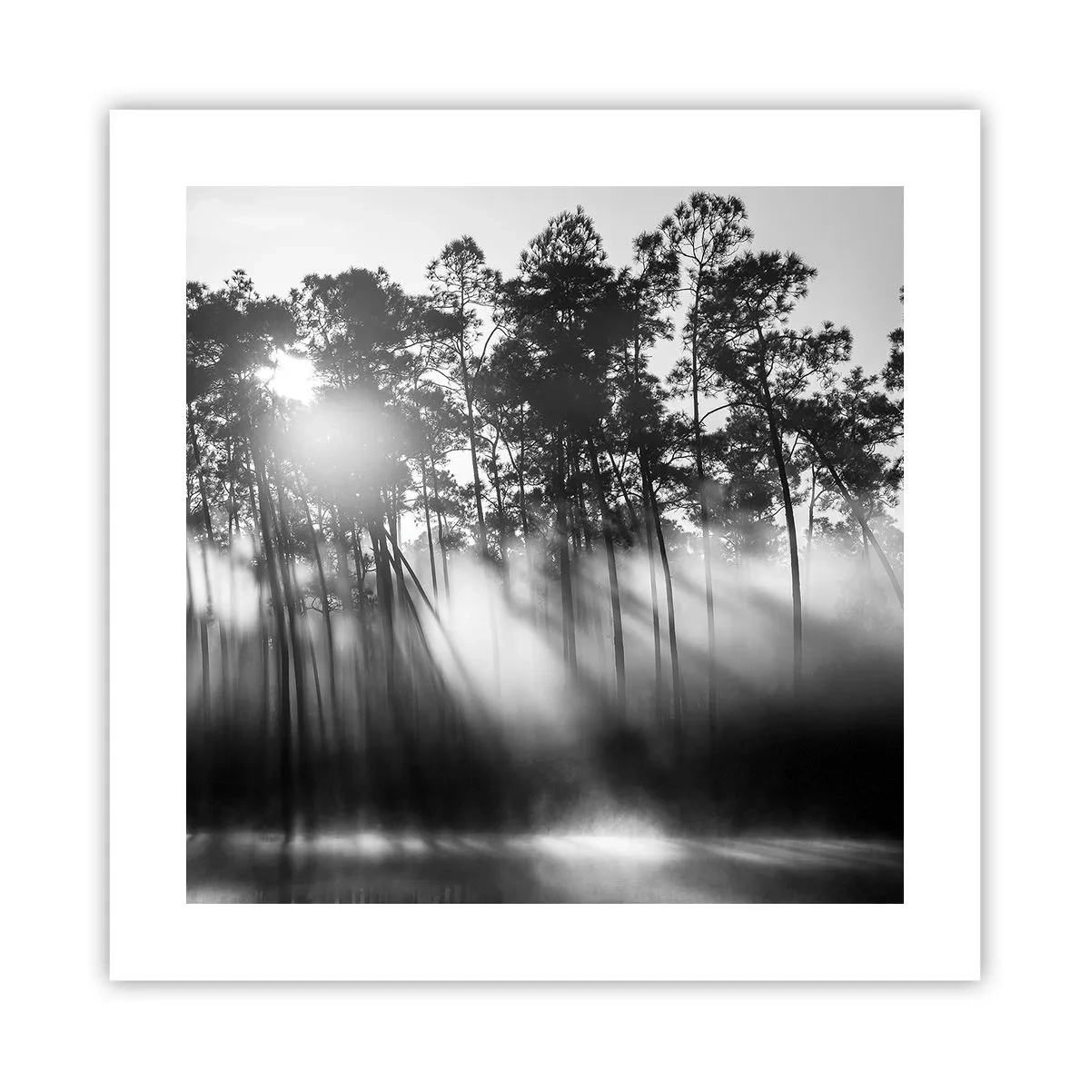 Poster - Niet te stoppen zon - 40x40 cm