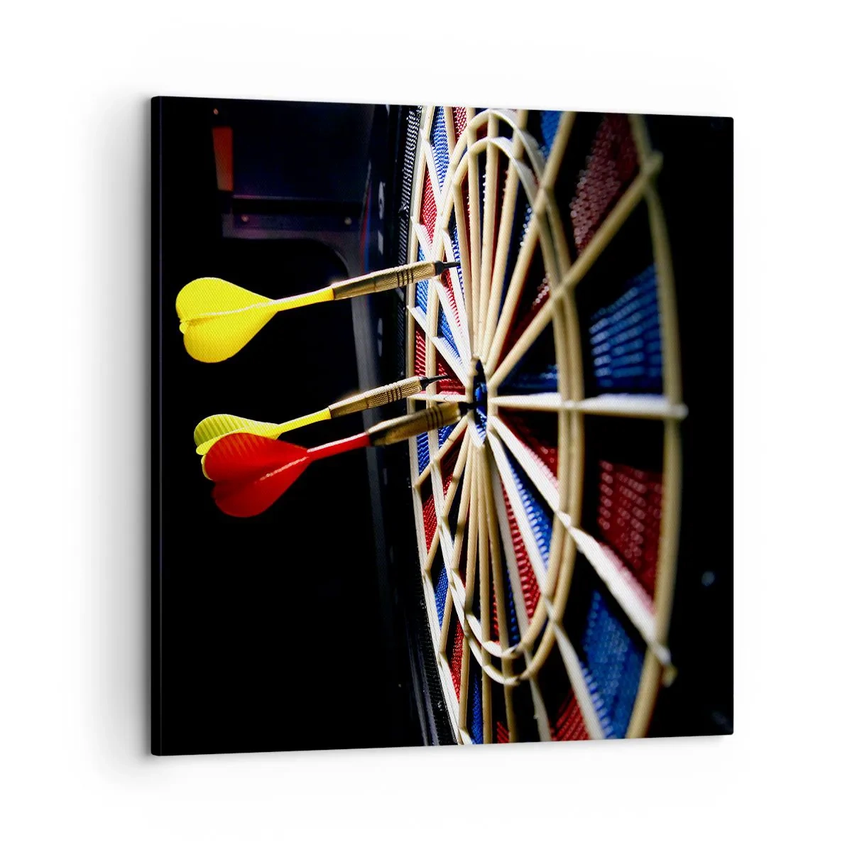 Schilderen op canvas - De spikerop de kop - 60x60 cm