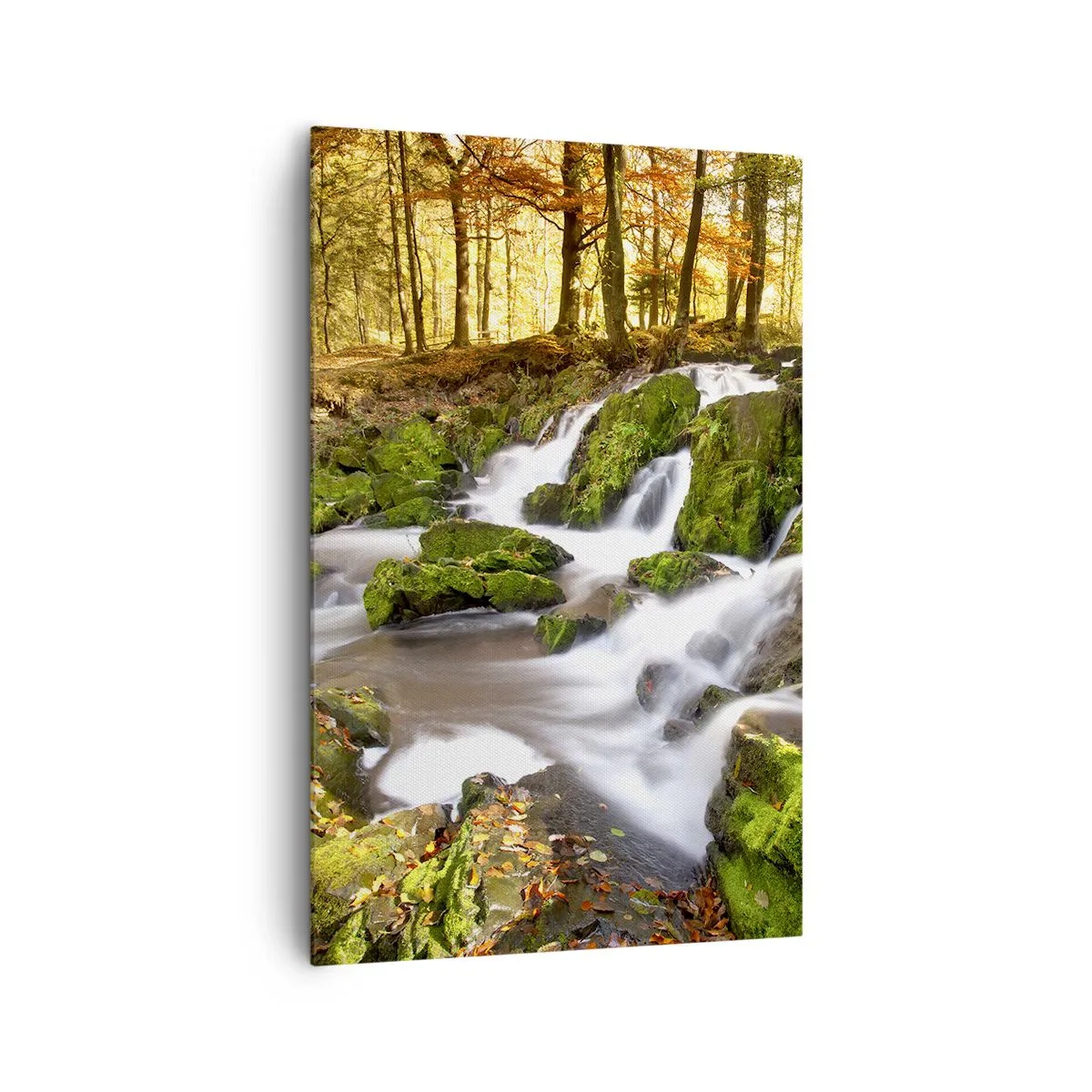 Schilderen op canvas - Snel door het herfstbos - 80x120 cm