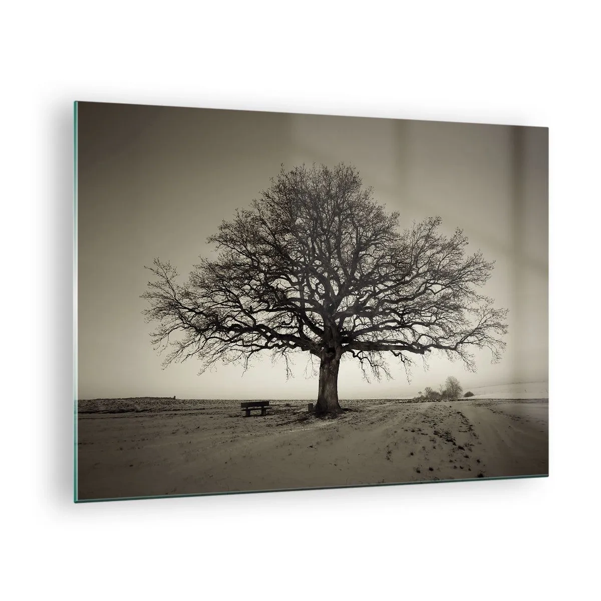 Schilderen op glas - Een eenzame boom in een monochroom landschap - 70x50cm - Van hier tot in de eeuwigheid - Moderne wanddecoratie voor woonkamer en slaapkamer ARTTOR