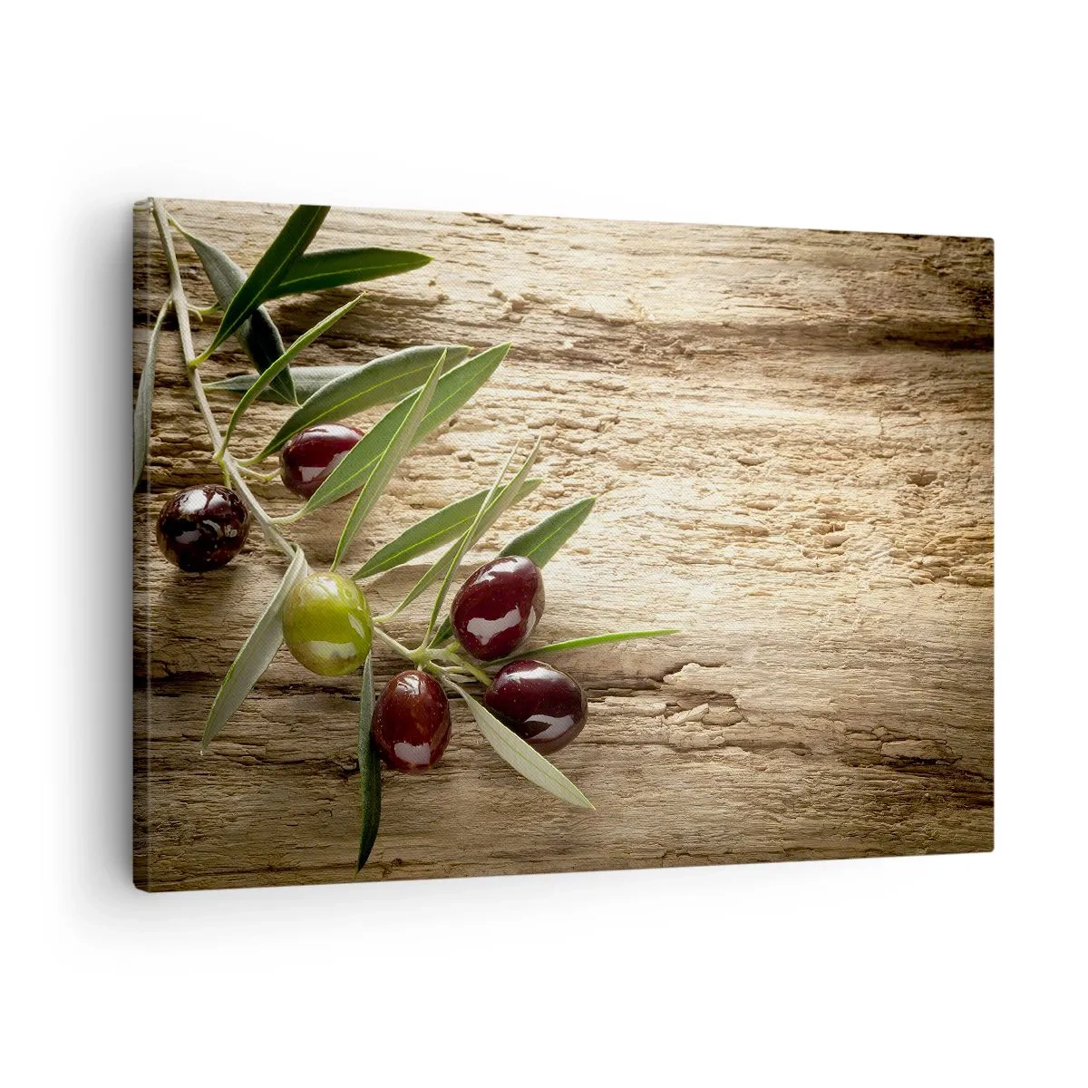 Schilderen op canvas - Olijftak met fruit op een achtergrond van oud hout - 70x50cm - Rechtstreeks uit de natuur - Moderne wanddecoratie voor woonkamer en slaapkamer ARTTOR
