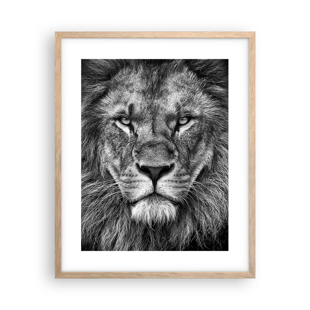 Een poster in een licht eiken lijst - In een kroningskleed - 40x50 cm