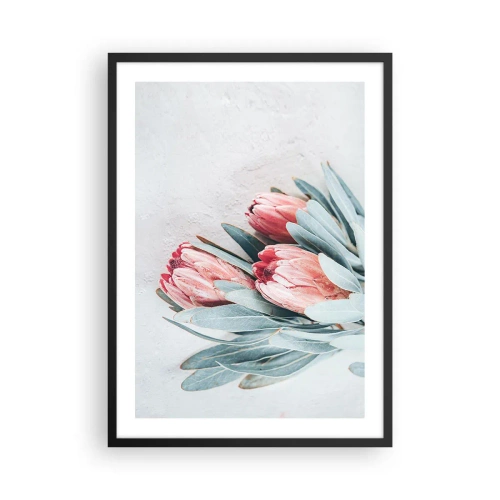 Poster in een zwarte lijst - Een subtiele compositie van proteabloemen op een lichte achtergrond - 50x70cm - Schaamt zich voor hun eigen schoonheid - Moderne wanddecoratie voor woonkamer en slaapkamer ARTTOR