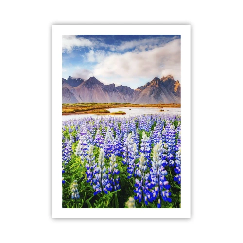 Poster - Kracht en soberheid naast zachtheid - 50x70 cm