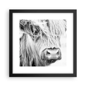 Poster in een zwarte lijst - Schotse wildheid - 30x30 cm