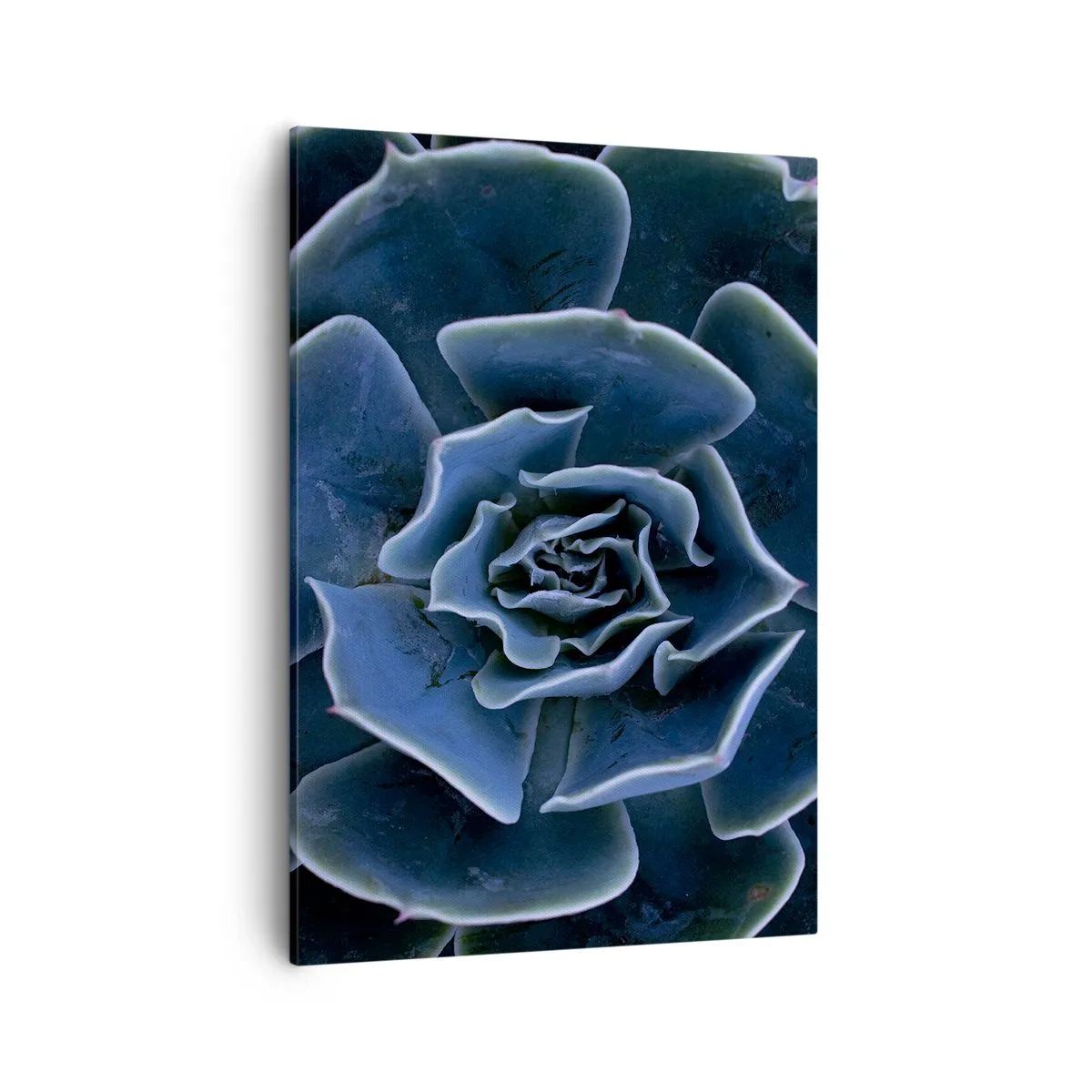 Schilderen op canvas - Woestijn bloem - 50x70 cm