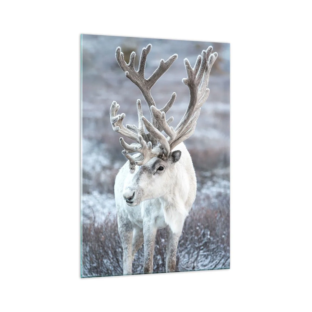 Schilderen op glas - Portret in de zon - 70x100 cm