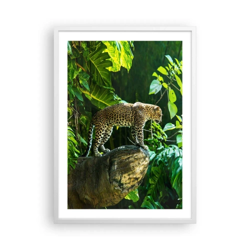 Poster in een witte lijst - Op jacht? - 50x70 cm