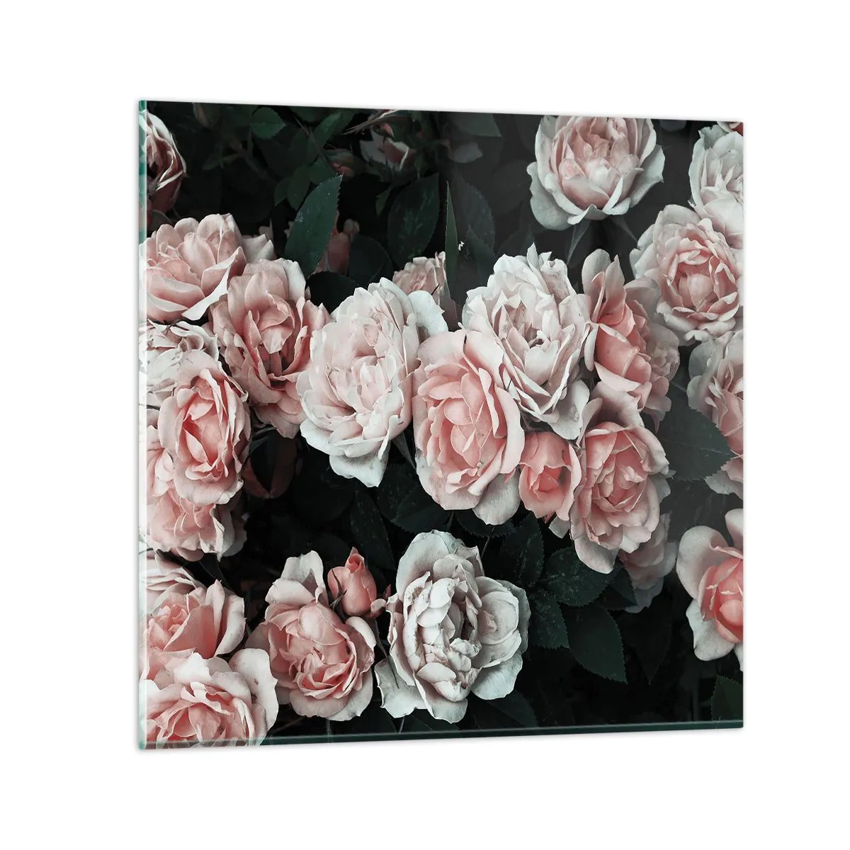 Schilderen op glas - Rozen ensemble - 30x30 cm