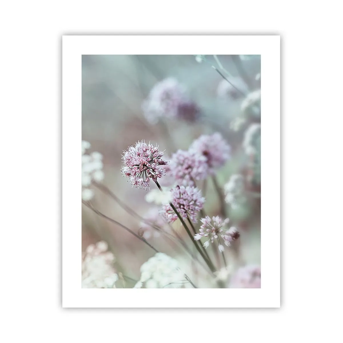 Poster - Zoete filigrane kruiden - 40x50 cm