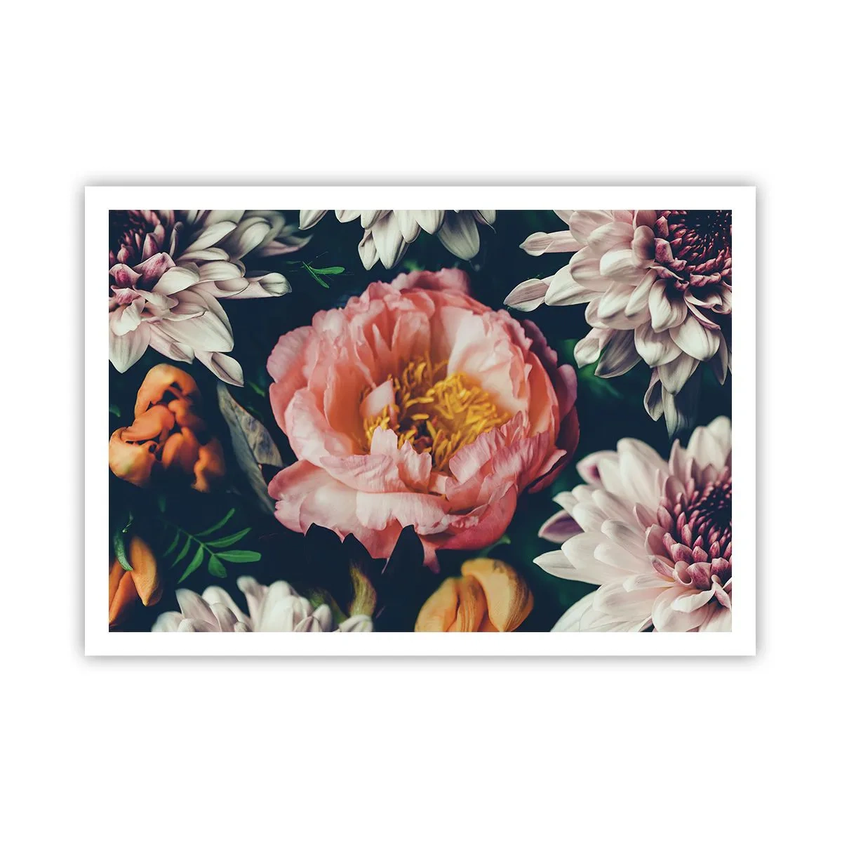 Poster - Met barokke pracht - 100x70 cm
