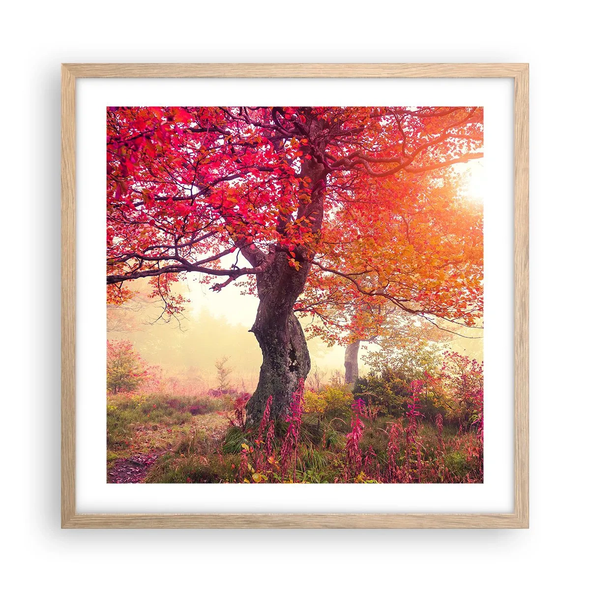 Een poster in een licht eiken lijst - Bloeiende razernij - 50x50 cm