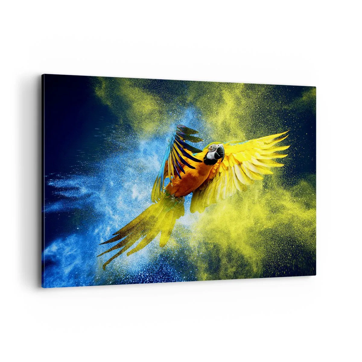 Schilderen op canvas - In het blauwe en gouden stof - 100x70 cm
