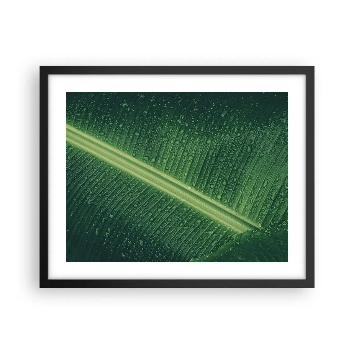 Poster in een zwarte lijst - De structuur van groen - 50x40 cm