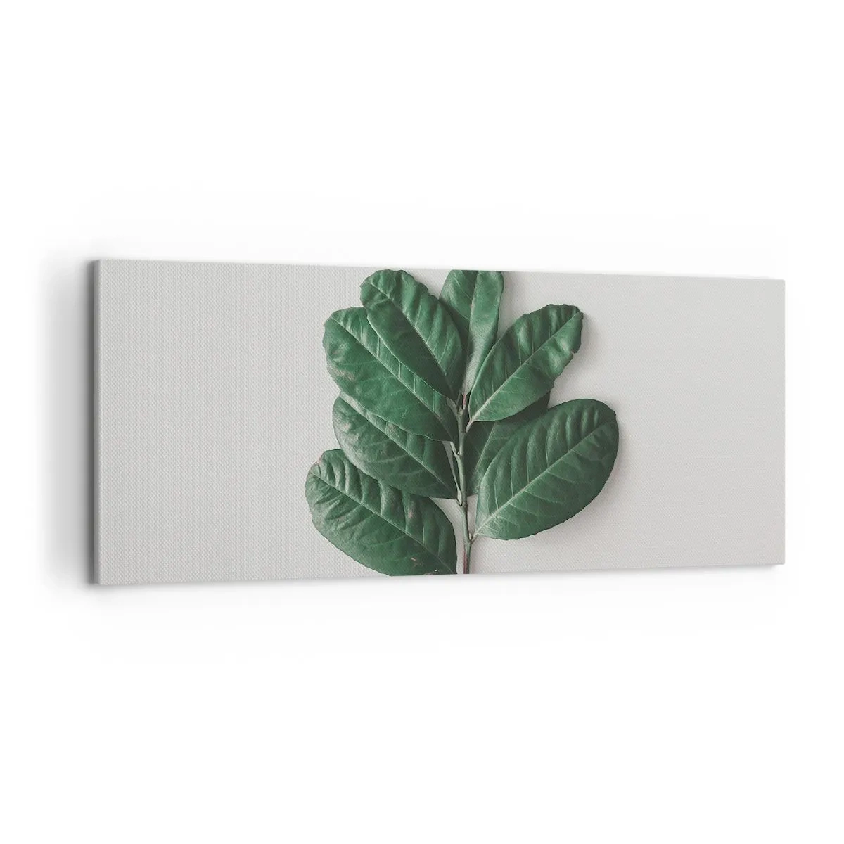 Schilderen op canvas - Een tekening van de pure natuur - 100x40 cm