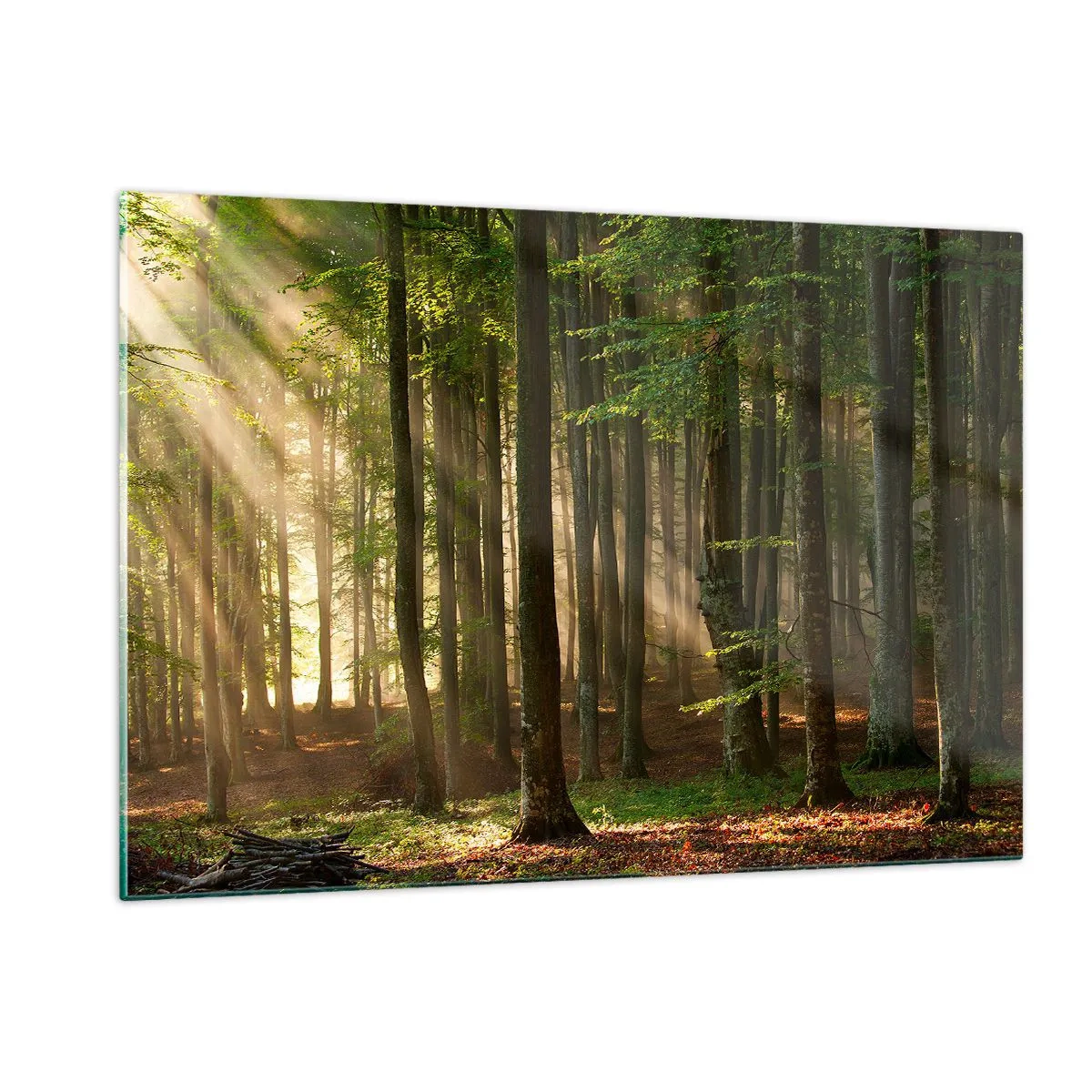 Schilderen op glas - Stralend op een lentemorgen - 120x80 cm