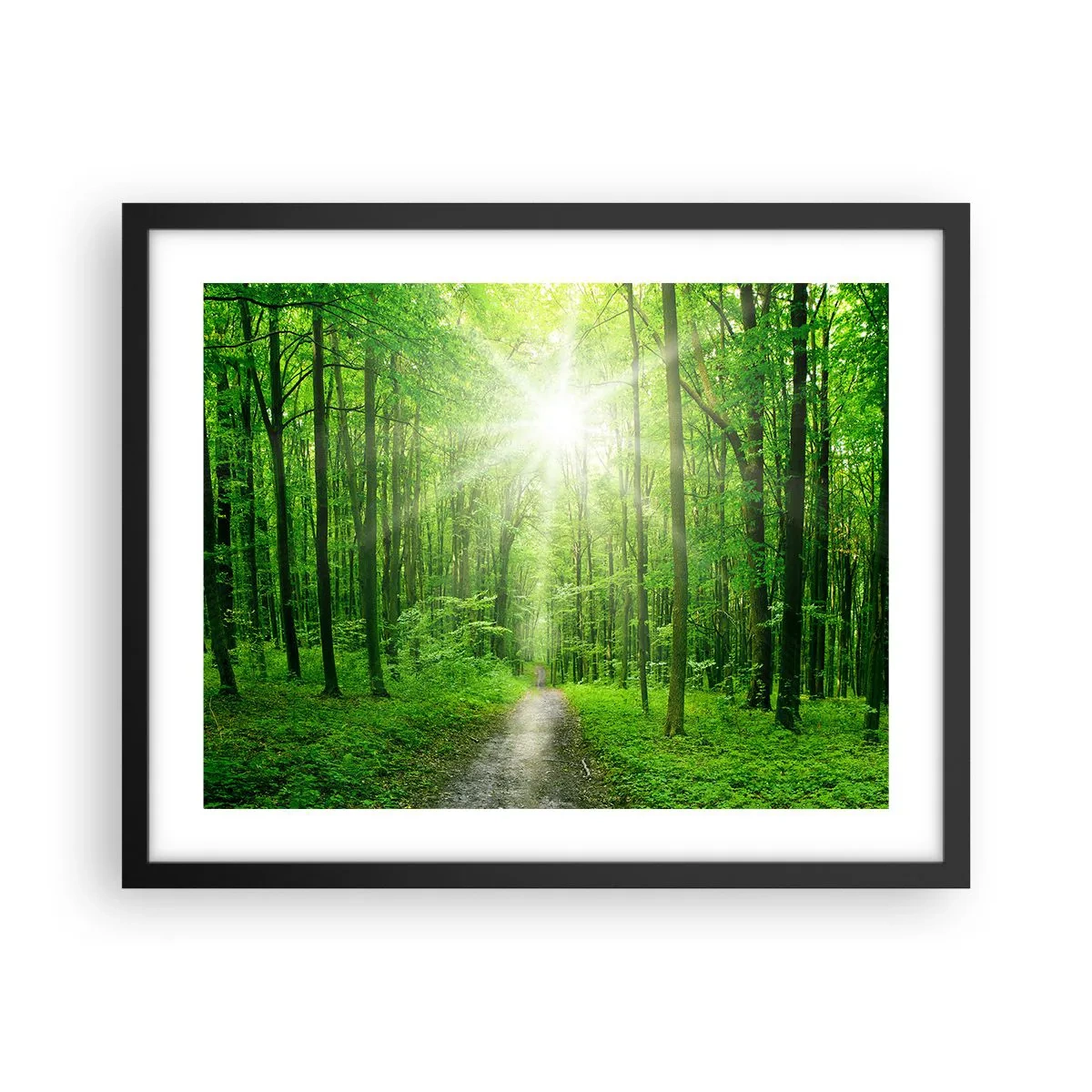 Poster in een zwarte lijst - De groene kathedraal - 50x40 cm