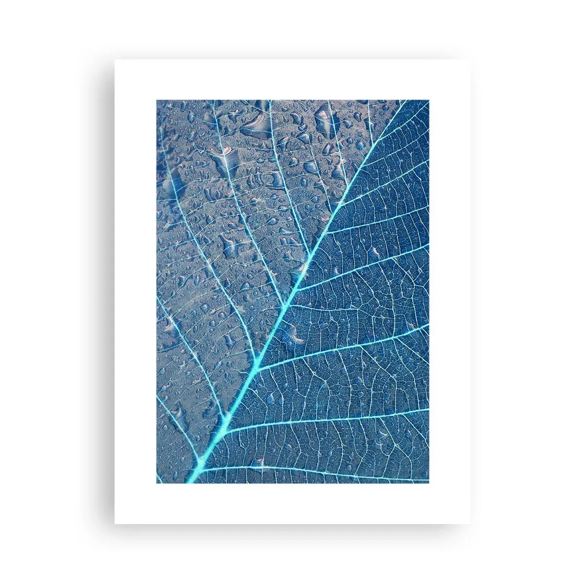 Poster - Leven in blauw - 30x40 cm