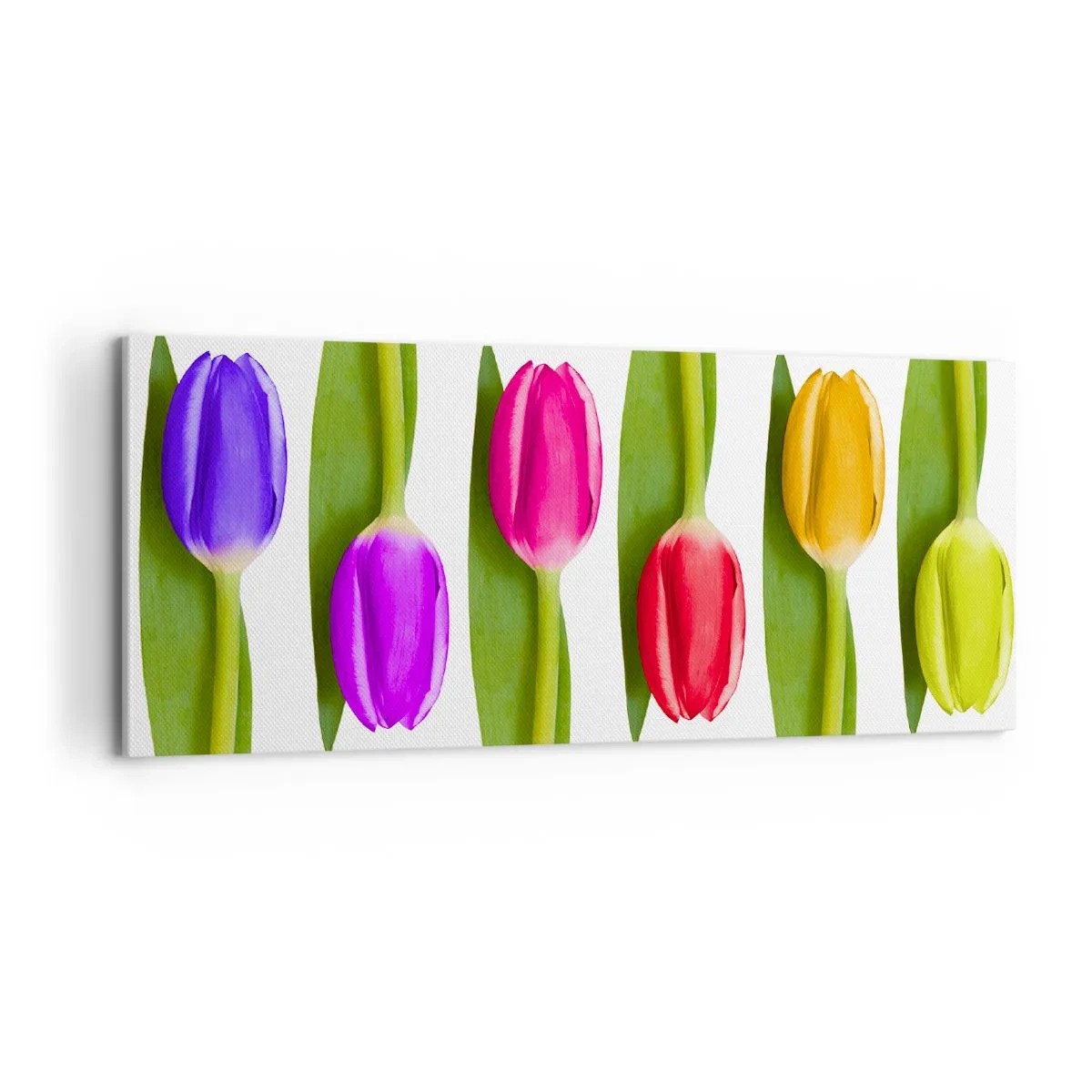 Schilderen op canvas - Regenboog compositie - 100x40 cm