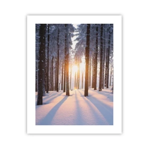 Poster - Duidelijk in zwart-wit - 40x50 cm