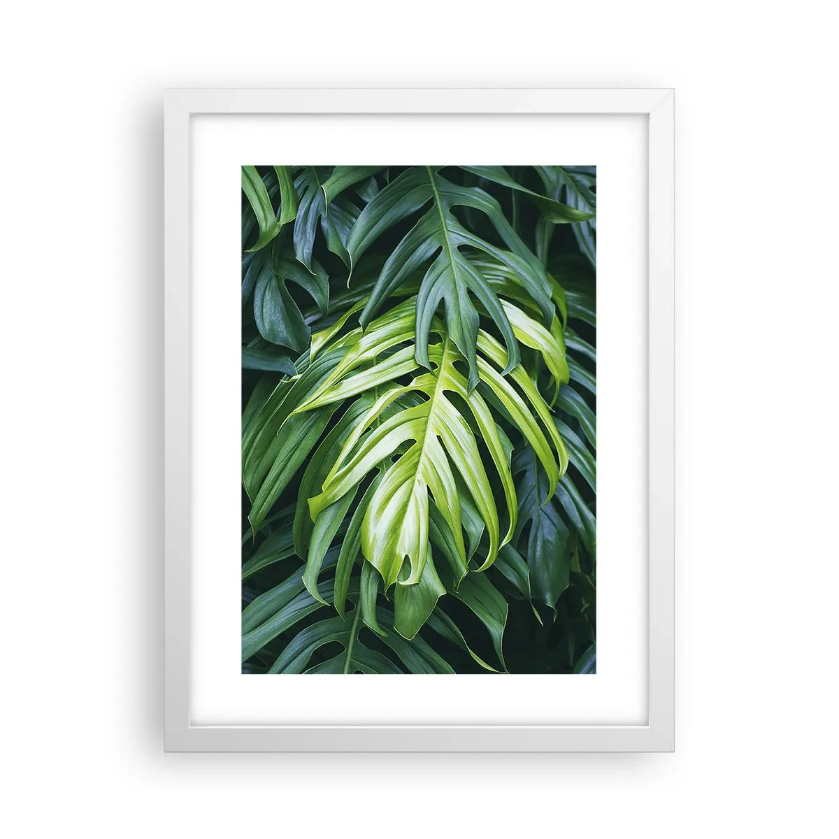 Poster in een witte lijst - Dompel jezelf onder in de frisheid - 30x40 cm