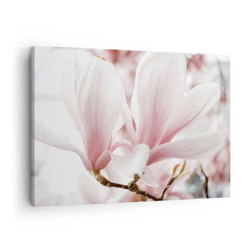 Schilderen op canvas - Delicate magnoliabloemen in pasteltinten - 70x50cm - Een overvloed aan tederheid - Moderne wanddecoratie voor woonkamer en slaapkamer ARTTOR