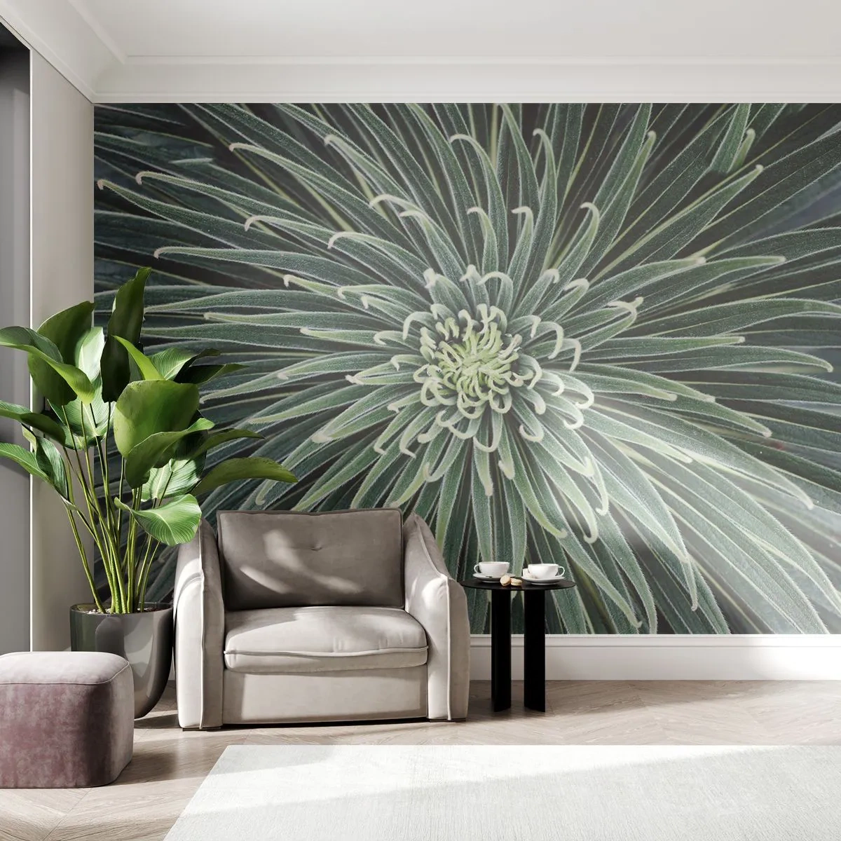 Fotobehang Standard Eco - Een ster is geboren - Agave bloem, Agave, Bloemen - 250x175 cm