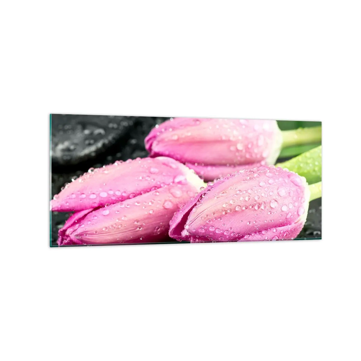 Schilderen op glas - Lila drie op een zwarte steen - 120x50 cm