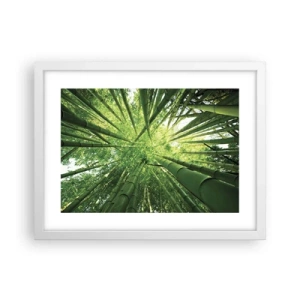 Poster in een witte lijst - In een bamboebos - 40x30 cm