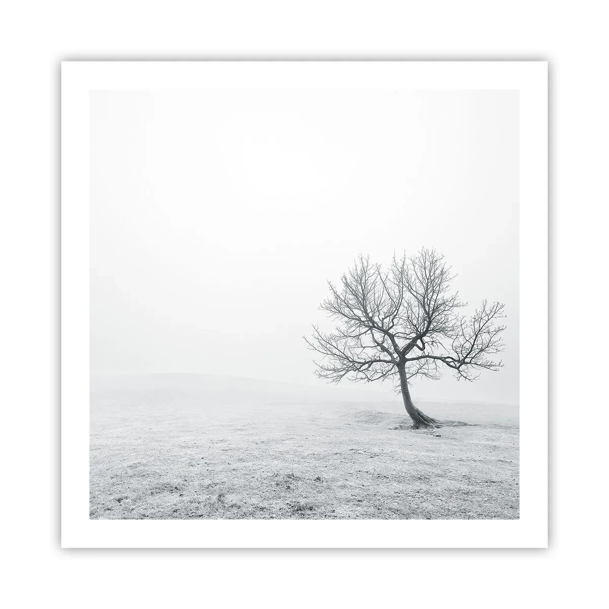 Poster - Tegen het niets - 60x60 cm