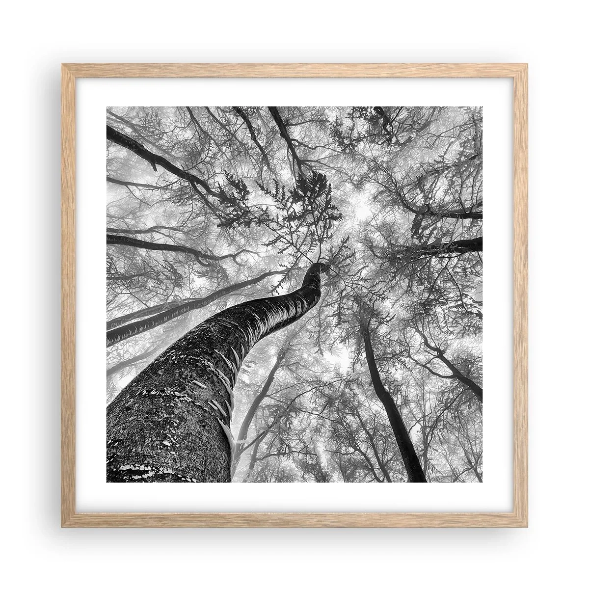 Een poster in een licht eiken lijst - Race naar het licht - 50x50 cm