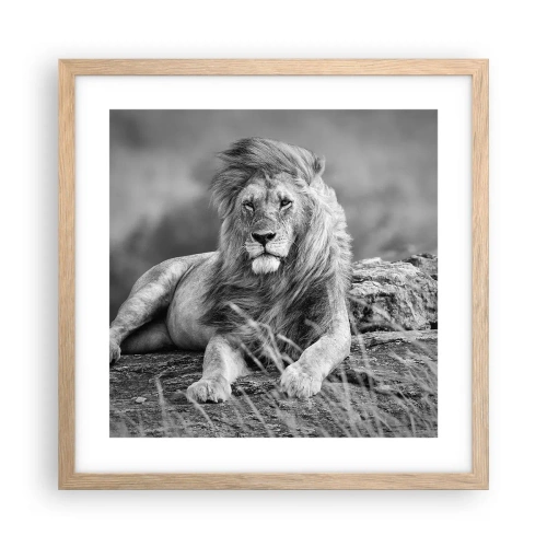 Een poster in een licht eiken lijst - Koninklijke siësta - 40x40 cm