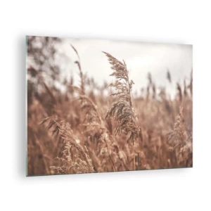 Schilderen op glas - Gedroogde grassen in de wind in het herfstlicht van de natuur - 70x50cm - Het is al herfst in de velden - Moderne wanddecoratie voor woonkamer en slaapkamer ARTTOR