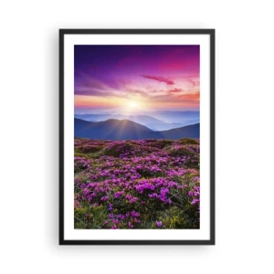 Poster in een zwarte lijst - Een veld met paarse bloemen in de bergen bij zonsondergang - 50x70cm - Kruiden roken naar verse trossen van de velden - Moderne wanddecoratie voor woonkamer en slaapkamer ARTTOR