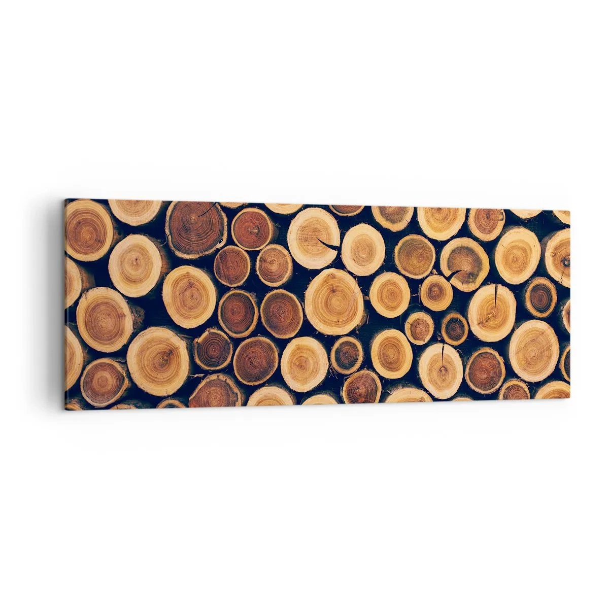 Schilderen op canvas - Hoe oud zie ik eruit? - 140x50 cm