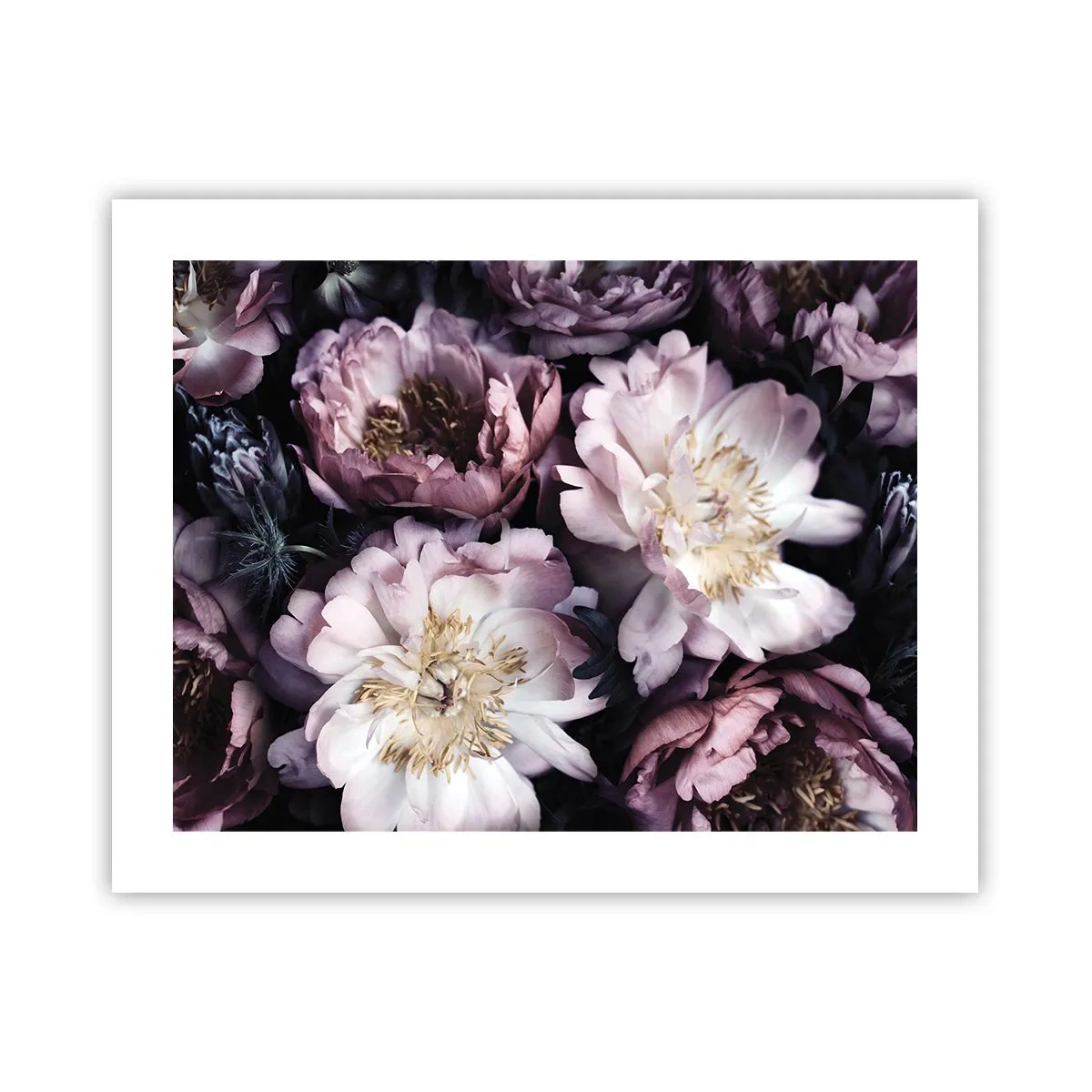 Poster - Boeket ouderwets - 50x40 cm