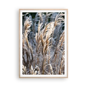 Een poster in een licht eiken lijst - Gekleed met vorst - 70x100 cm