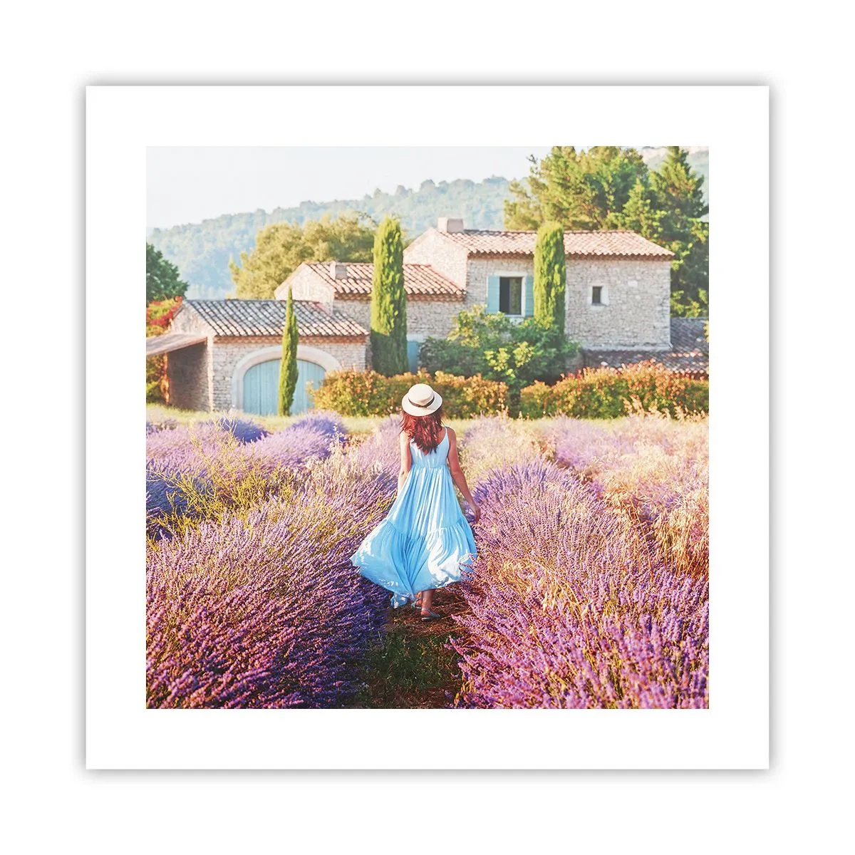 Poster - Lavendel meisje - 40x40 cm
