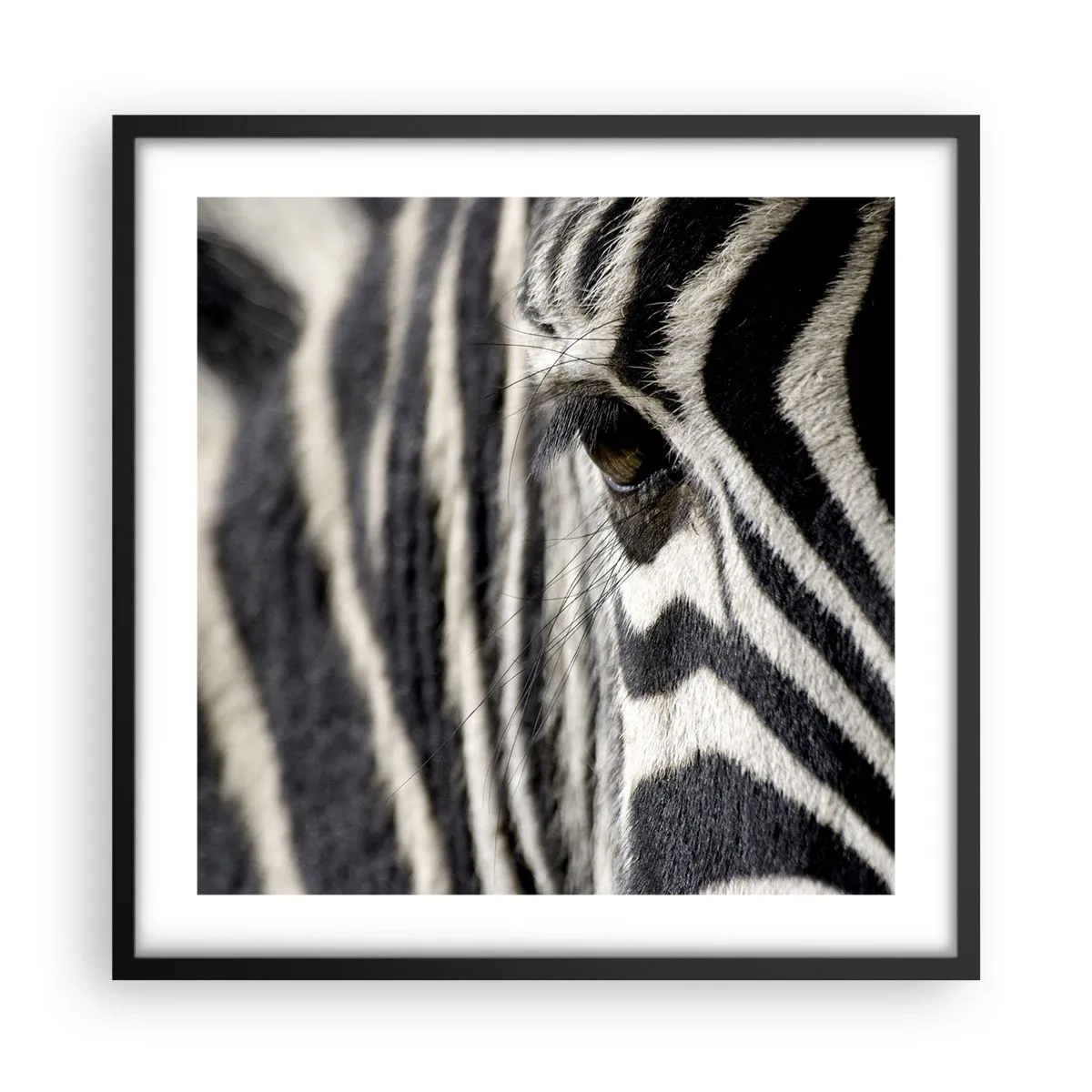 Poster in een zwarte lijst - Gestreept portret - 50x50 cm