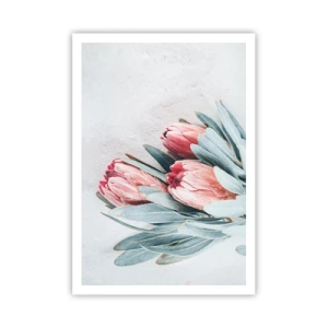 Poster - Schaamt zich voor hun eigen schoonheid - 70x100 cm