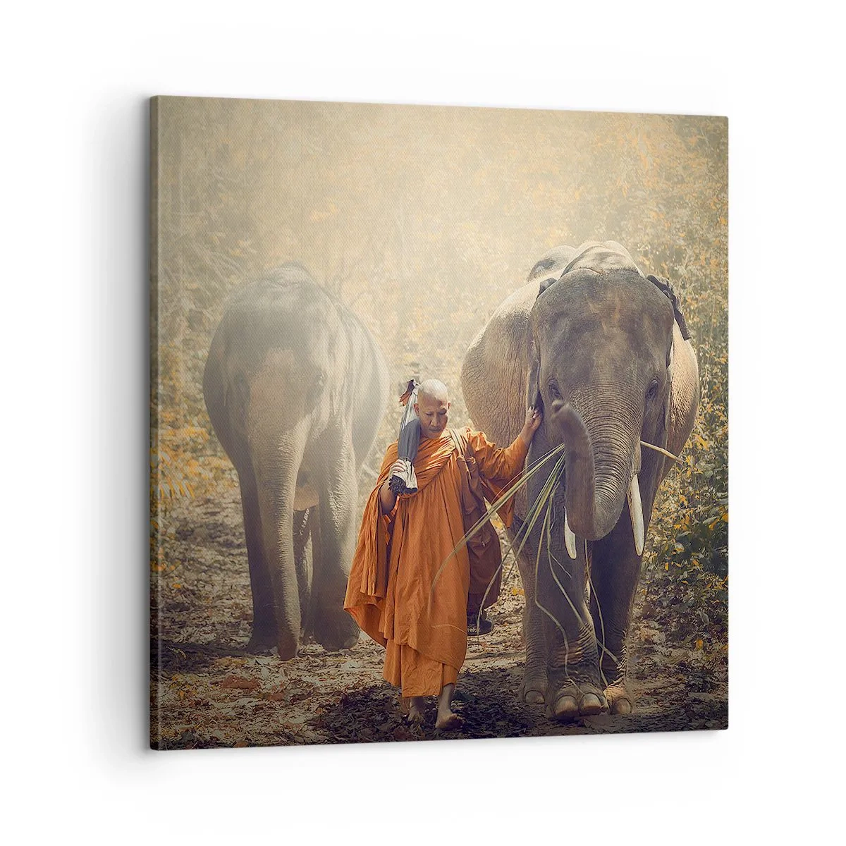 Schilderen op canvas - Volledig begrip - 60x60 cm