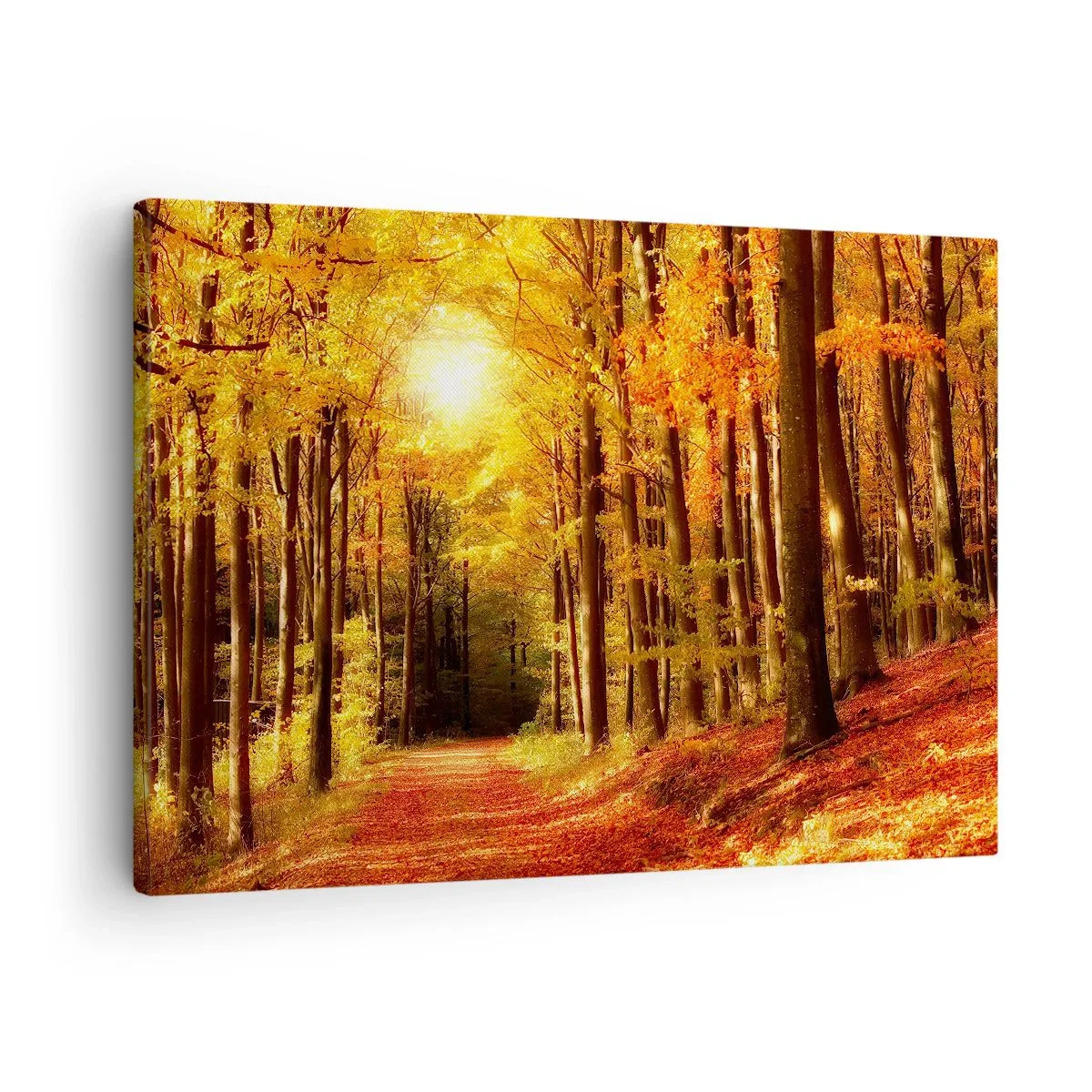 Schilderen op canvas - Herfstbos met zonnestralen die door de bomen schijnen - 70x50cm - Gouden herfst op een bosweg - Moderne wanddecoratie voor woonkamer en slaapkamer ARTTOR