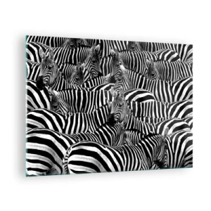 Schilderen op glas - Een kudde zebra's in monochroom - 70x50cm - Groepsportret met strepen - Moderne wanddecoratie voor woonkamer en slaapkamer ARTTOR