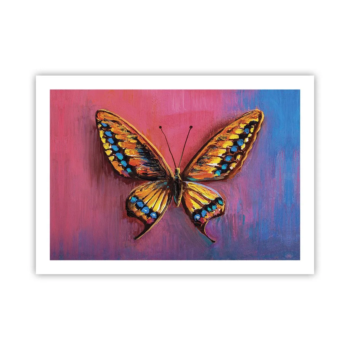 Poster - Een juweel van de natuur - 70x50 cm